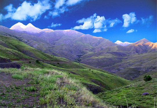 Siire Dair Gorseller